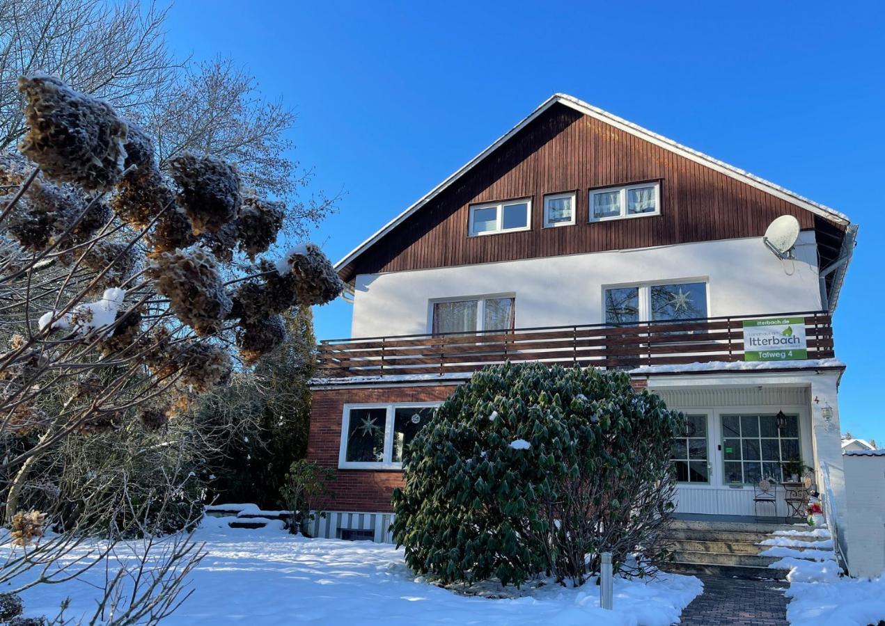 Landhaus Am Itterbach Willingen Виллинген Экстерьер фото